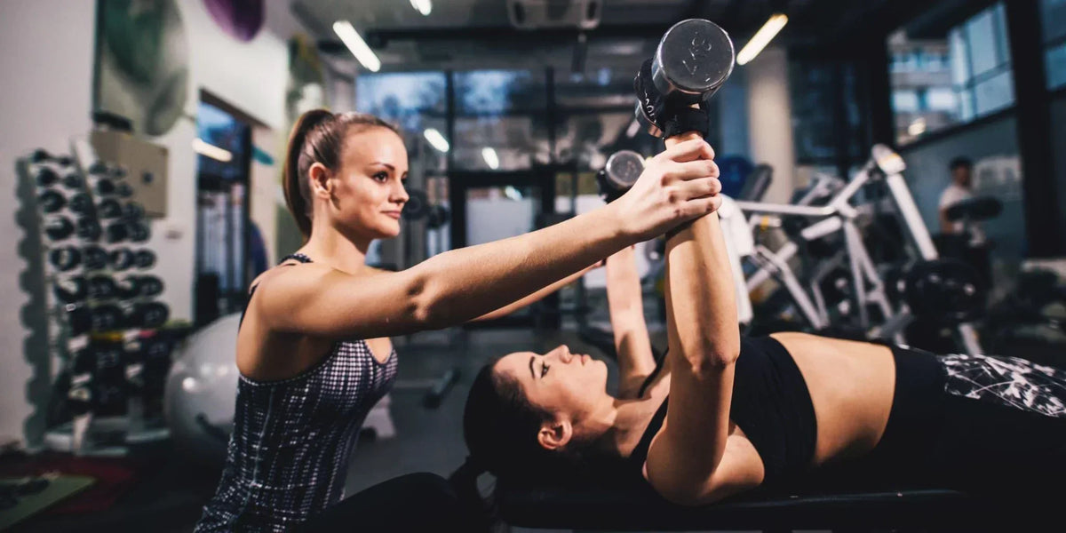 13 Ultimate Weight Bench Workout Exercises | RitKeep – RitKeep (AU)